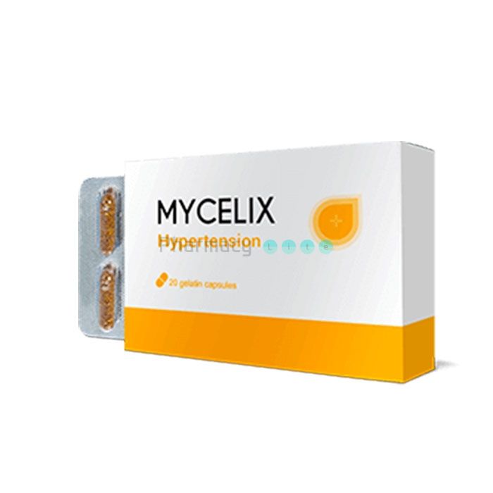 ⍙ Mycelix - Heilmittel gegen Bluthochdruck